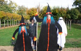 Knebworth Gardens Halloween Adventure takes place in October.