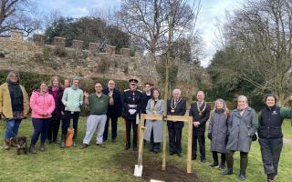 King’s tree planted in the grounds of Hertford Castle to mark Coronation.