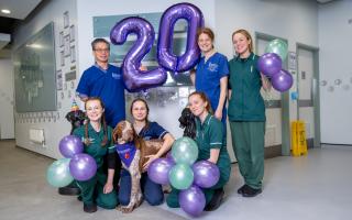 The Royal Veterinary College has supported thousands of cats and dogs over the years